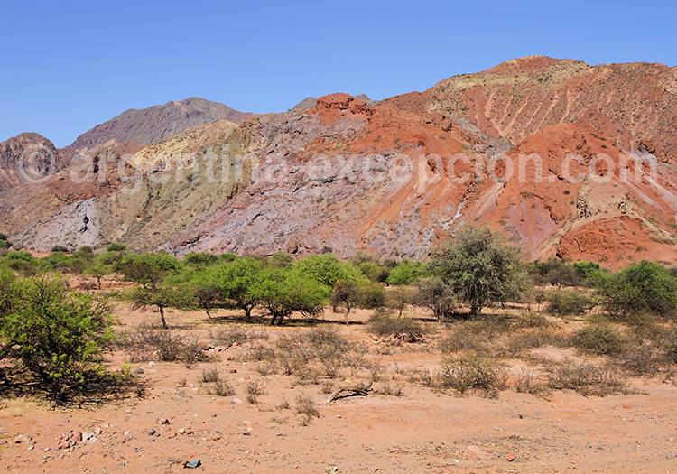 Quebrada de las Conchas, Cafayate Quebrada de las Conchas, Cafayate