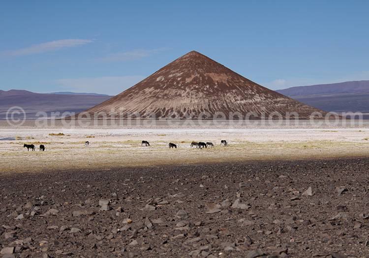 Cono de Arita, Salar de Arizaro Cono de Arita, Salar de Arizaro