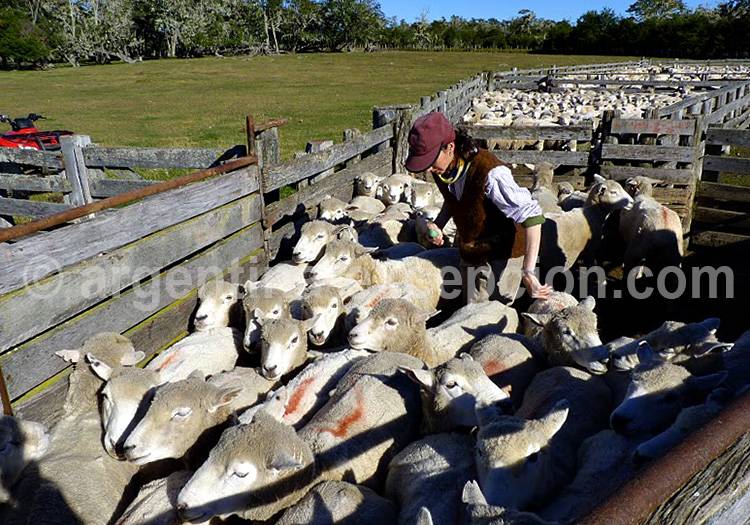 Estancia Rolito, Terre de Feu - Crédit Jean Dudouyt Estancia Rolito, Terre de Feu - Crédit Jean Dudouyt