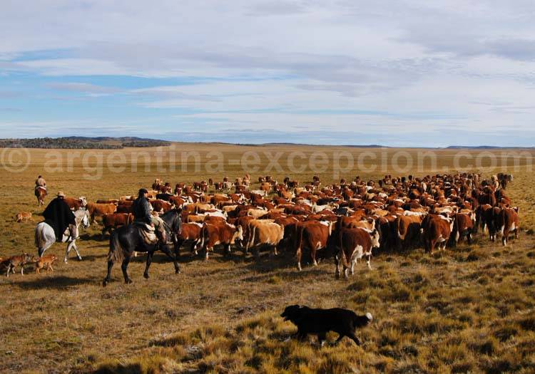 Estancia La Despedida Estancia La Despedida