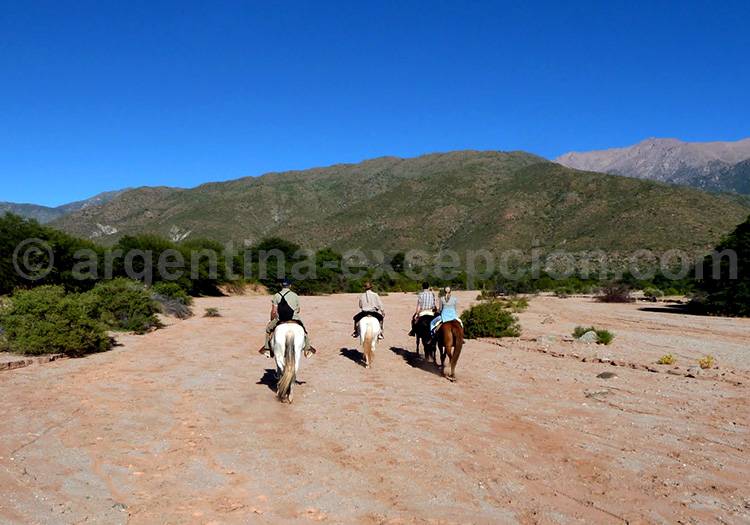 Cheval à l'estancia Colomé, Salta Cheval à l'estancia Colomé, Salta