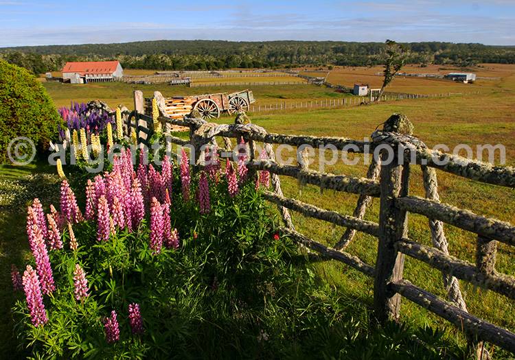Estancia Rolito, Terre de Feu Estancia Rolito, Terre de Feu