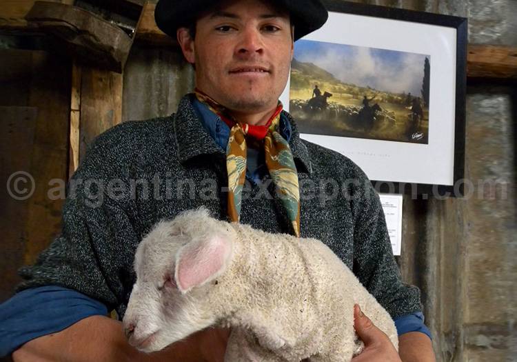 Estancia Nibepo Aike, El Calafate Estancia Nibepo Aike, El Calafate