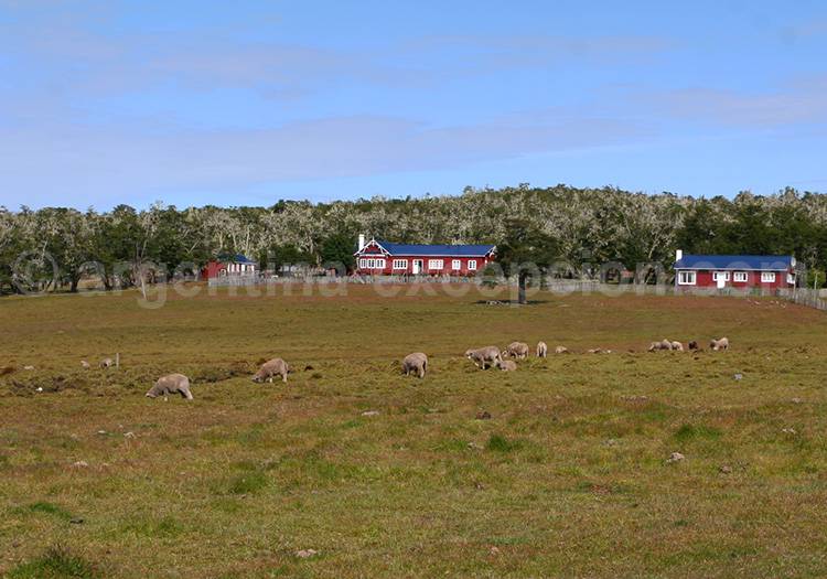 Estancia de La Terre de Feu Estancia en Terre de Feu