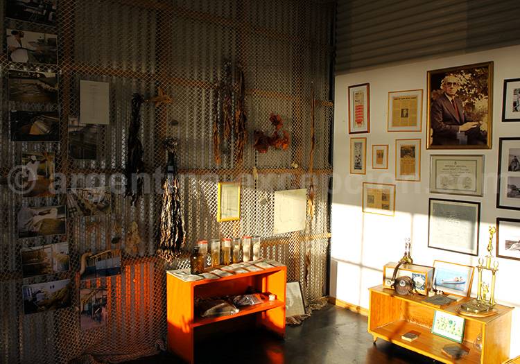 Musées de Bahía Bustamente Musée Bahía Bustamente