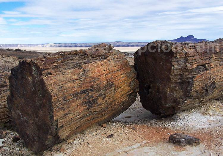 Monument National Bosques Petrificados Monument National Bois Petrifies, Lac Grande