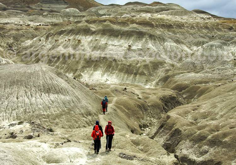 Forêt pétrifiée La Leona, Los Hornos Forêt pétrifiée La Leona, Los Hornos