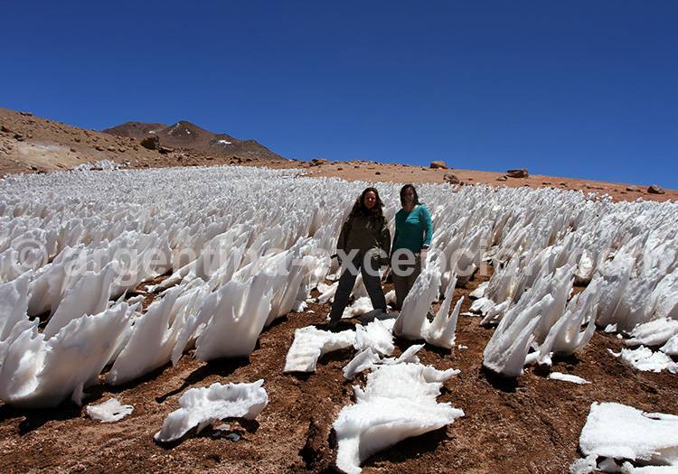 Sur les pentes du Corona del Inca, La Rioja Sur les pentes du Corona del Inca, La Rioja
