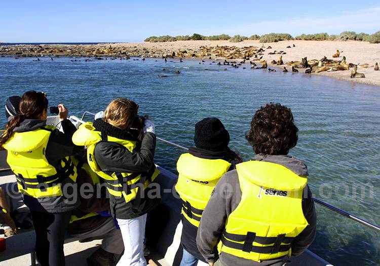 Réserve de Bahia Bustamante Réserve de Bahia Bustamante