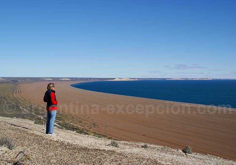 Découverte de Puerto Madryn Découverte de Puerto Madryn