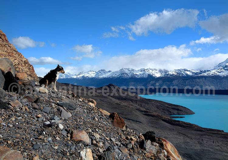 Bras Upsala, Lago Argentino Bras Upsala, Lago Argentino