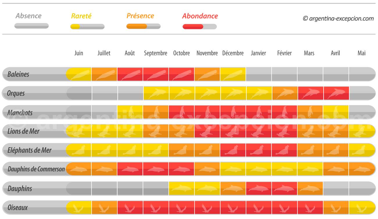 Calendrier de la faune, bahia Bustamante calendrier faune bahia Bustamante