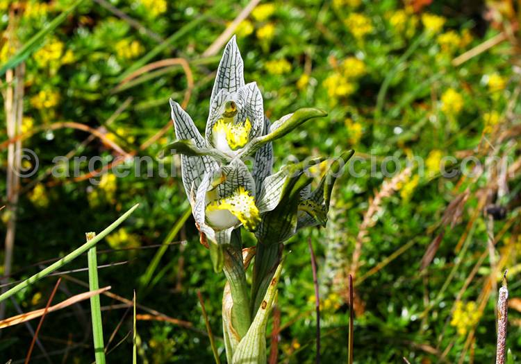 La nature de Torres del Paine La nature de Torres del Paine