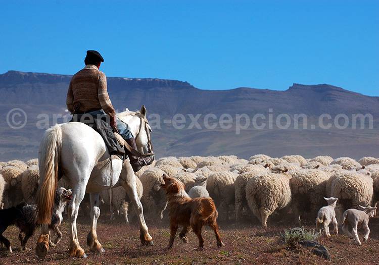 Estancia Cerro Guido, Torres del Paine Estancia Cerro Guido, Torres del Paine