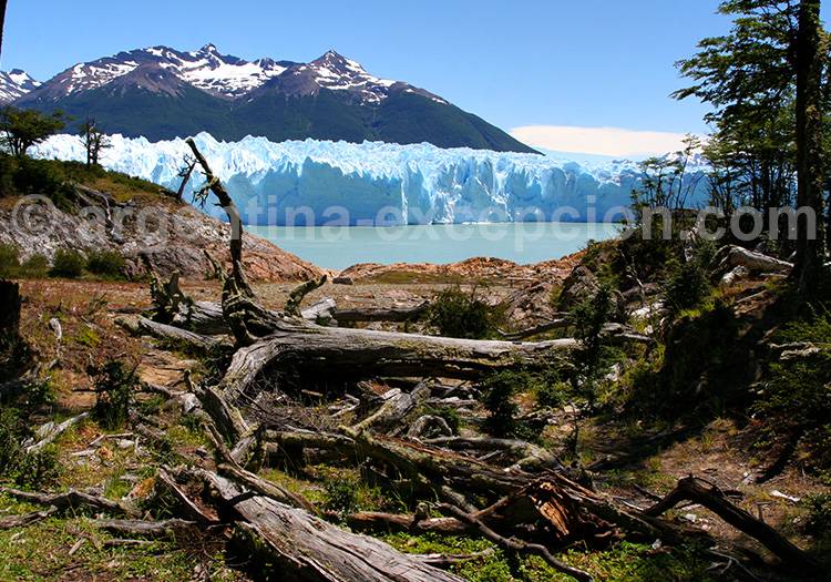 Glacier Perito Moreno, El Calafate Glacier Perito Moreno, El Calafate