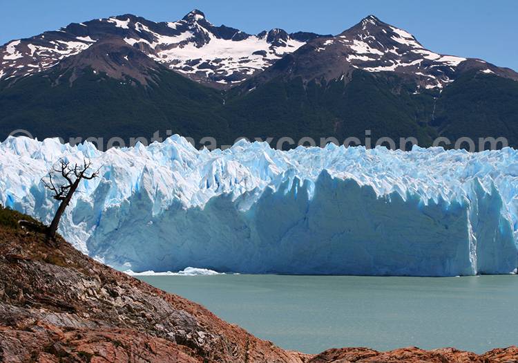 Glacier Perito Moreno, El Calafate Glacier Perito Moreno, El Calafate