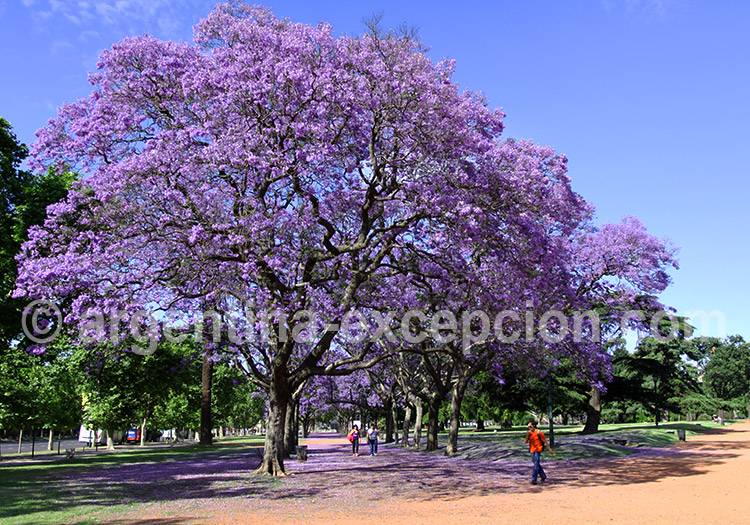 Jardins de Palermo, Buenos Aires Jardins de Palermo, Buenos Aires