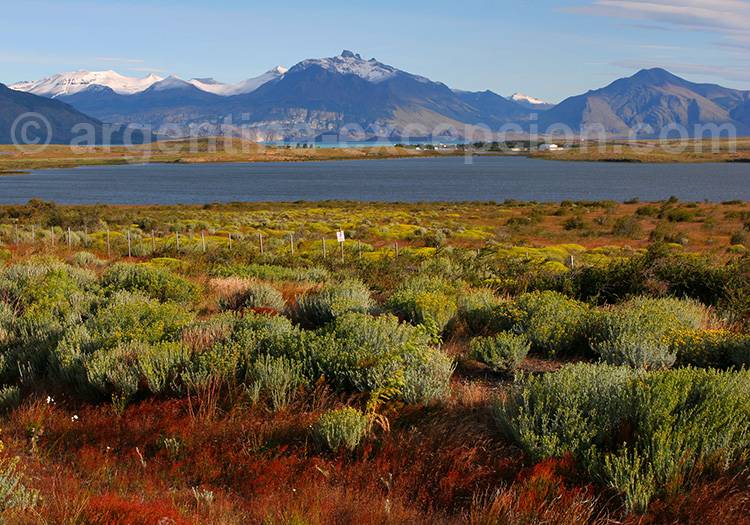 Lago Argentino, El Calafate Lago Argentino, El Calafate