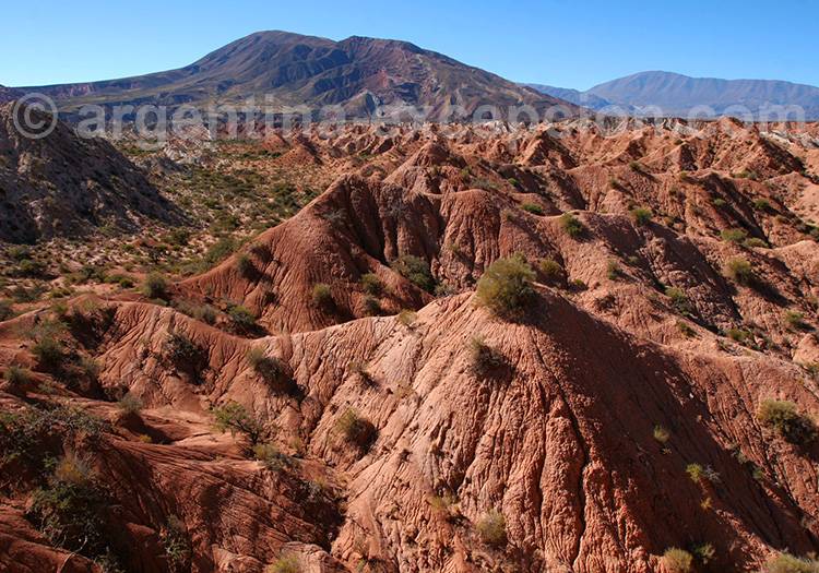 Los Colorados, Parc Los Cardones Los Colorados, Parc Los Cardones