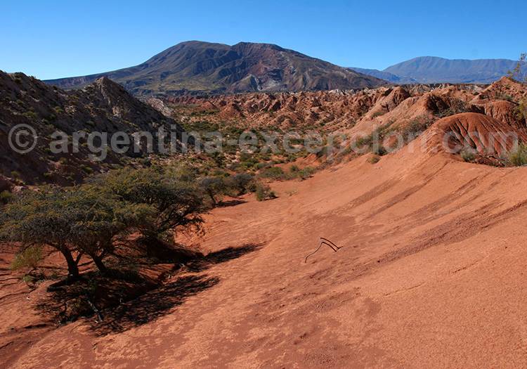 Los Colorados, Salta Los Colorados, Salta