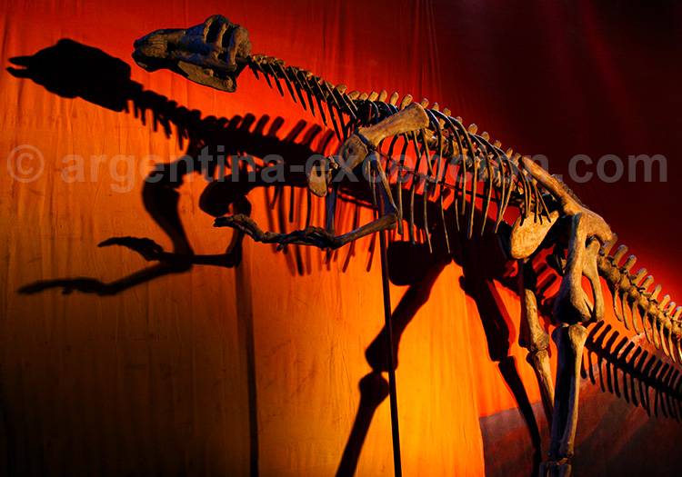 Musée des Sciences Naturelles, San Juan Musée des Sciences Naturelles, San Juan