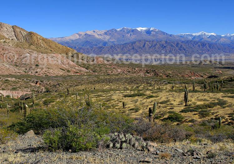 Nevado de Cachi Nevado de Cachi