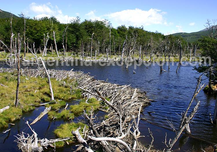 Parc Terre de Feu Parc Terre de Feu