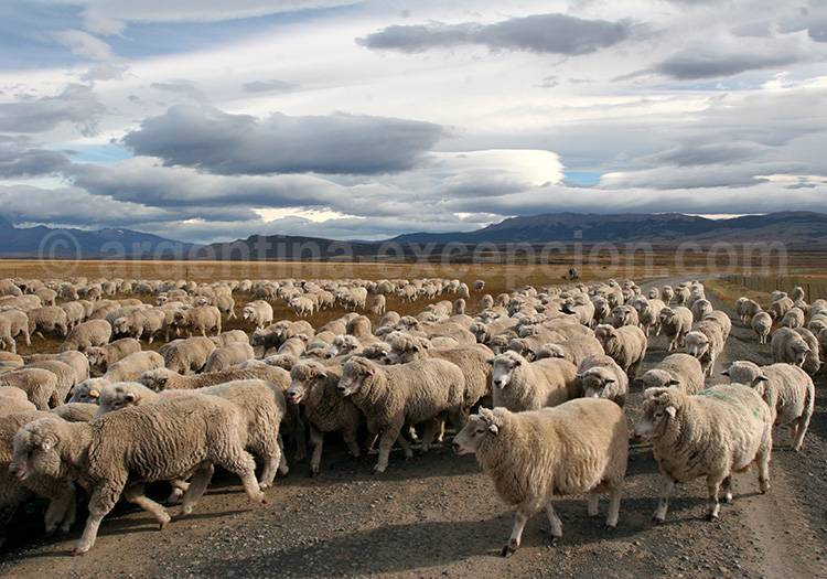 Traversée de la Terre de Feu Traversée de la Terre de Feu