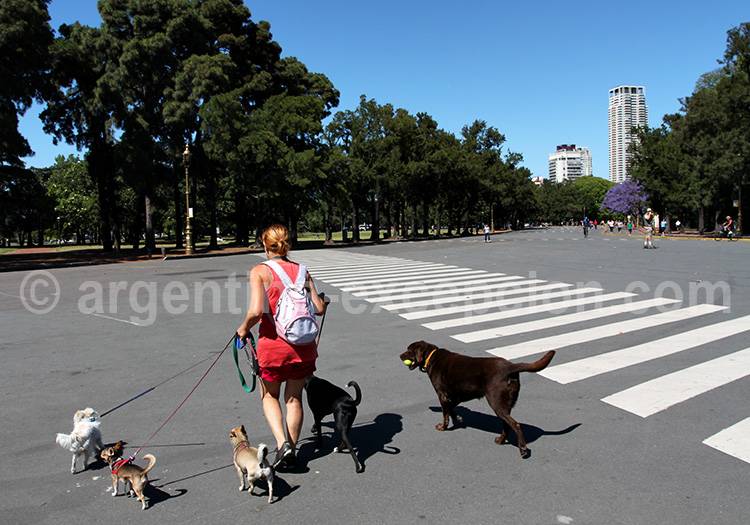 Palermo, Buenos Aires Palermo, Buenos Aires