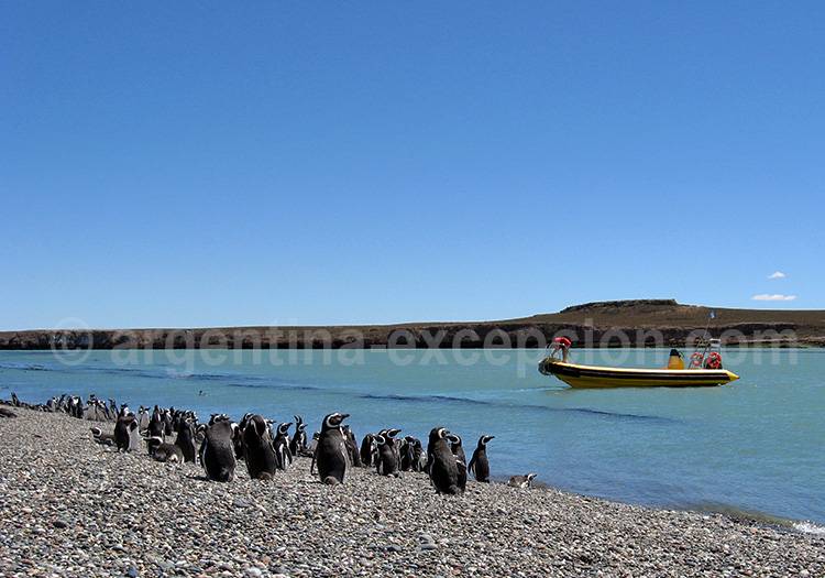 Puerto Deseado, Patagonie Puerto Deseado, Patagonie