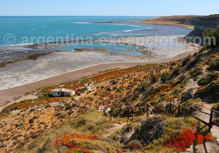 Punta Delgada, Péninsule de Valdès Punta Delgada, Péninsule de Valdès
