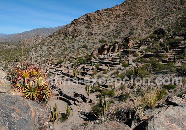 Site archéologique de Quilmes, Tucuman Site archéologique de Quilmes, Tucuman