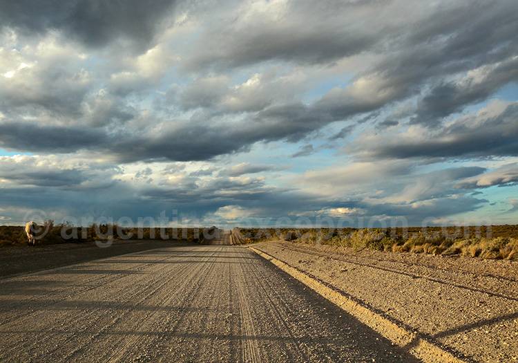 Route 40, Santa Cruz Route 40, Santa Cruz