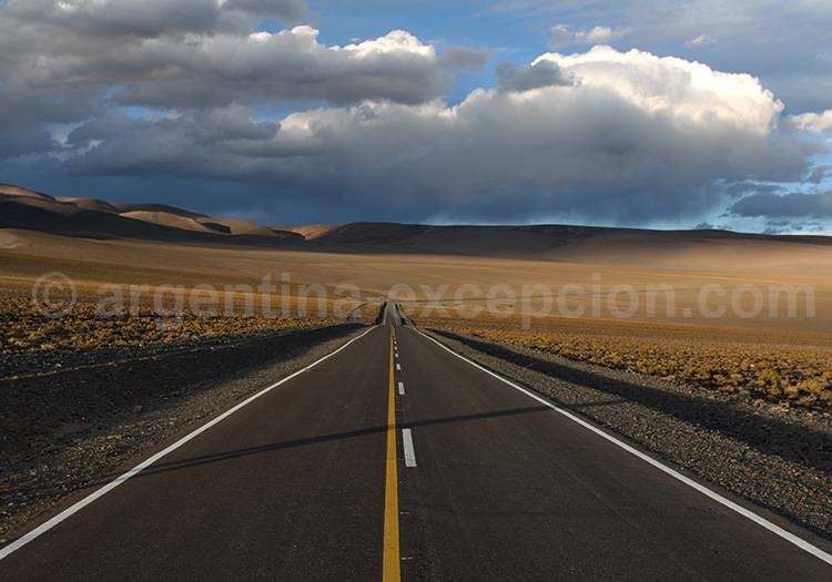 Sur la 40 de Malarguë à Chos Malal Sur la 40 de Malarguë à Chos Malal