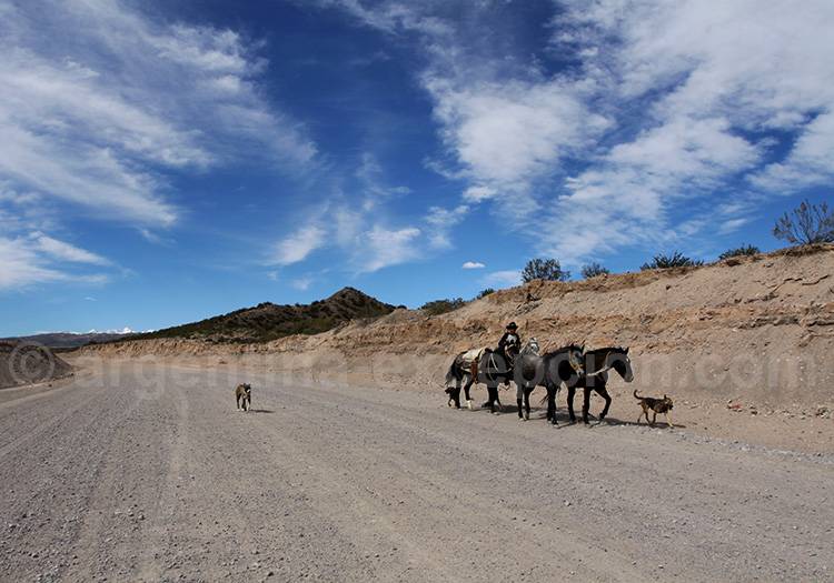 Sur la route 40 vers Mendoza route 40 mendoza
