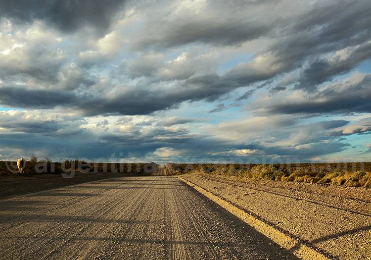 Sur la route 40 en Patagonie australe route 40 patagonie australe