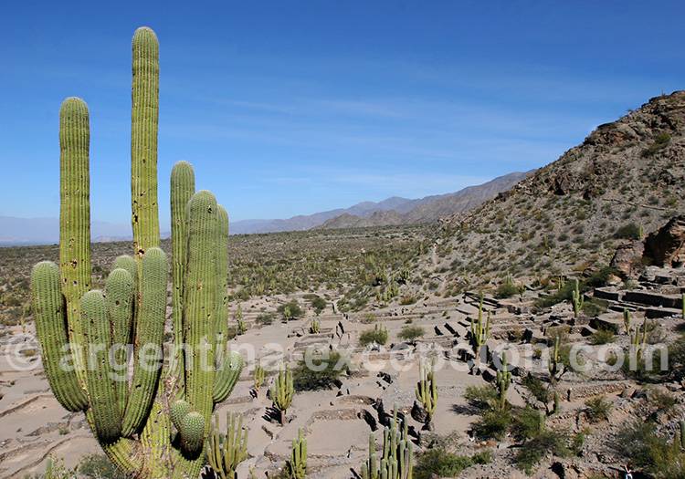 Ruines de Quilmes, Nord-Ouest Ruines de Quilmes, Nord-Ouest