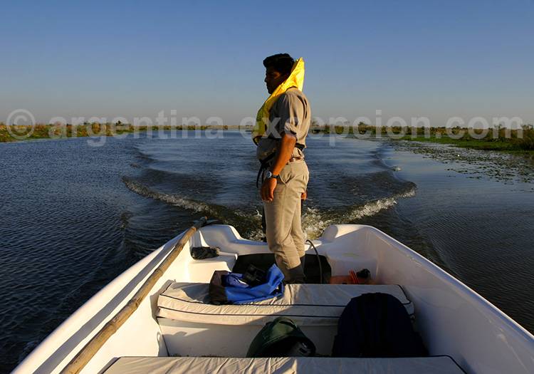 Safari Iberá, Carlos Pellegrini Safari Iberá, Carlos Pellegrini