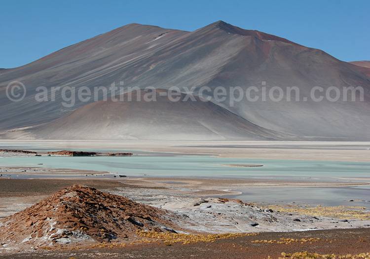 Salar de Talar, Atacama Salar de Talar, Atacama