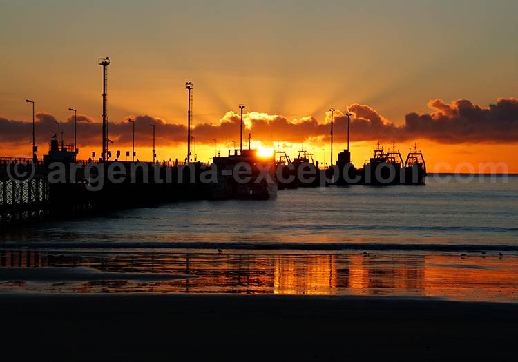 Ponton de Puerto Madryn, Patagonie Ponton de Puerto Madryn, Patagonie
