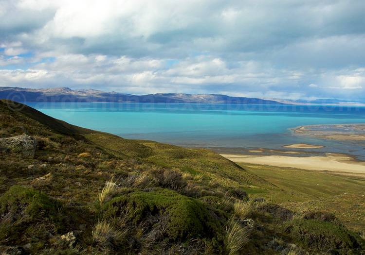 Rive du lac Argentino, El Calafate Rive du lac Argentino, El Calafate