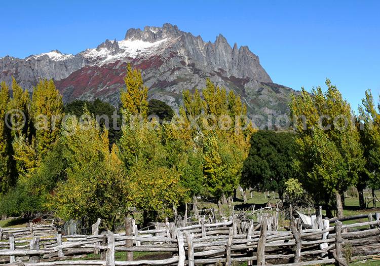 Parc Lanín, Route des 7 Lacs Parc Lanín, Route des 7 Lacs