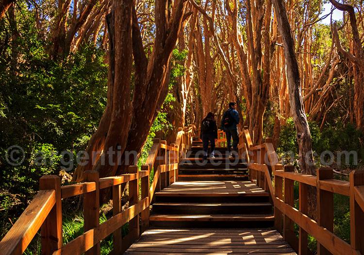 Parc des Arrayanes Parc des Arrayanes
