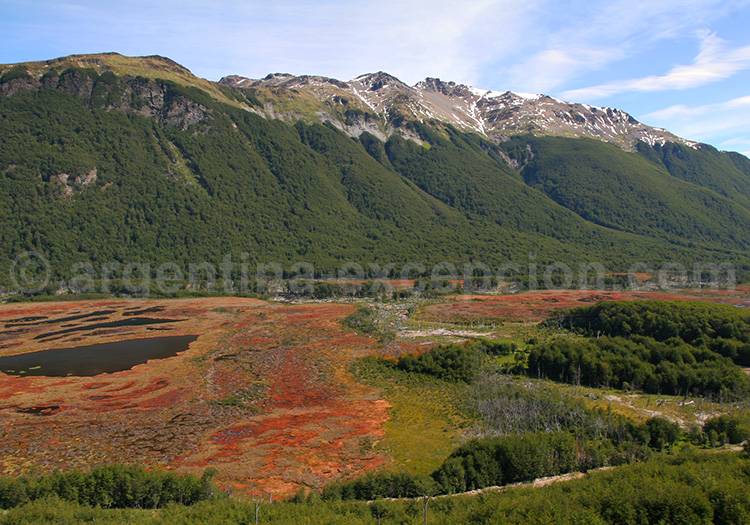 Parc National Terre de Feu, Patagonie Parc National Terre de Feu