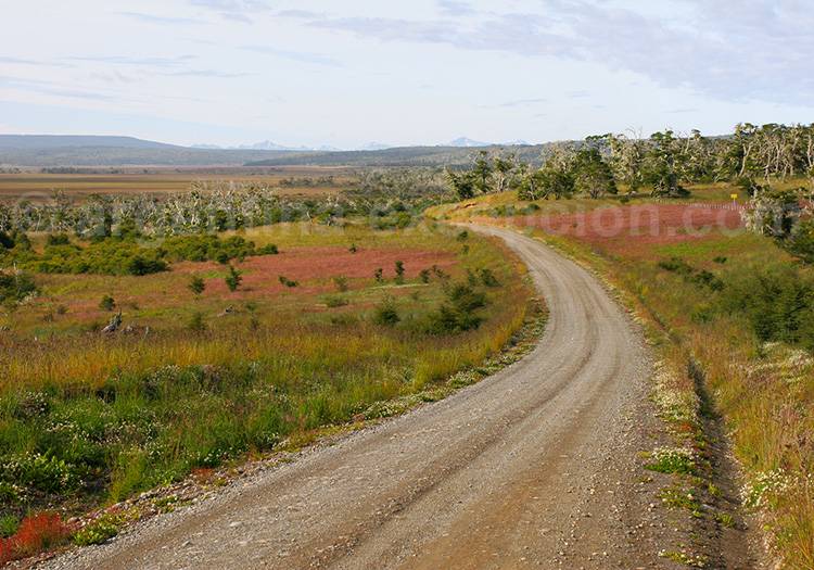Aux alentours de Rio Grande, Terre de Feu Rio Grande, Terre de Feu