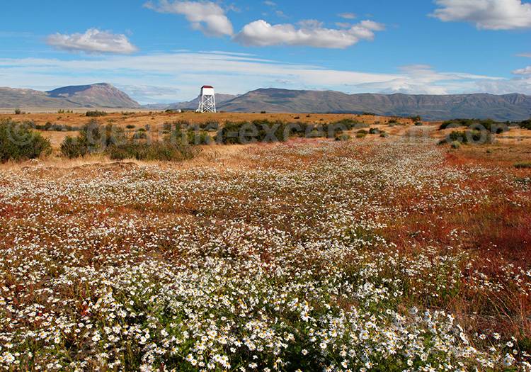 Province de Santa Cruz, Patagonie Province de Santa Cruz, Patagonie