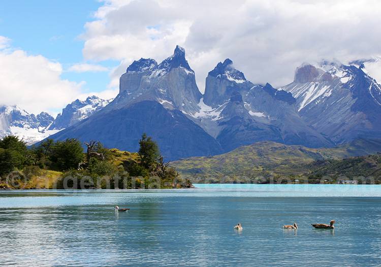 Que voir dans le Torres del Paine ? Que voir dans le Torres del Paine ?