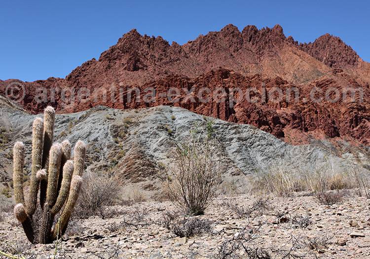 Quebrada Palala, Tupiza Quebrada Palala, Tupiza