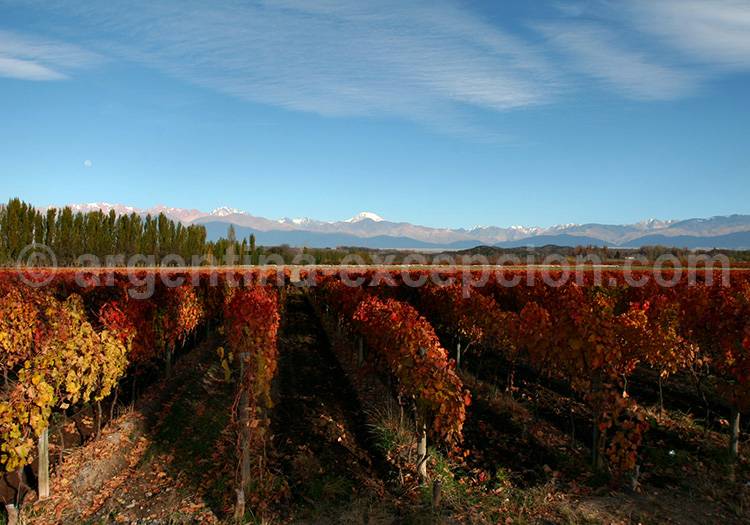 Valle de Uco, Tupungato Valle de Uco, Tupungato
