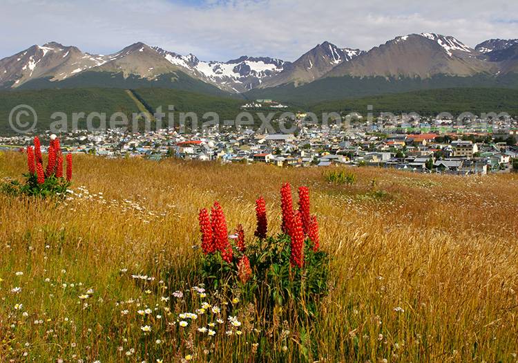 Le bout du monde à Ushuaia Le bout du monde à Ushuaia